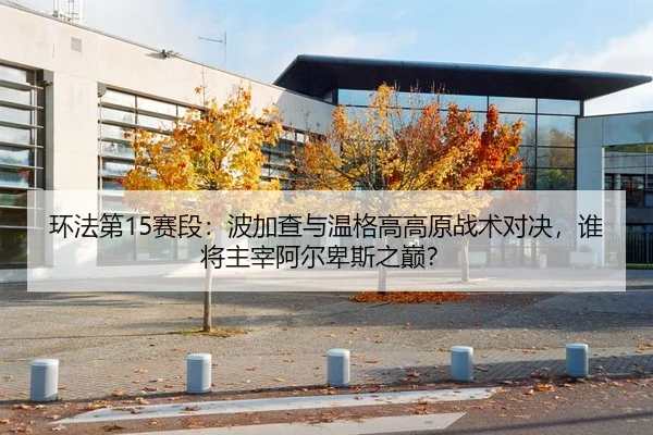 环法第15赛段：波加查与温格高高原战术对决，谁将主宰阿尔卑斯之巅？